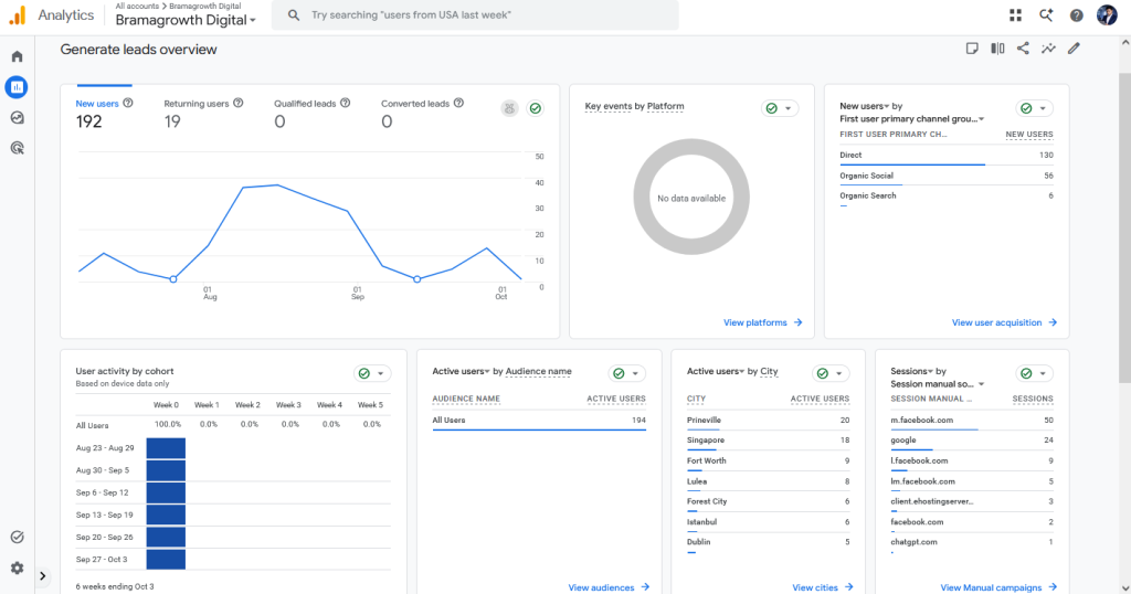 Google Analytics showing website traffic and performance data